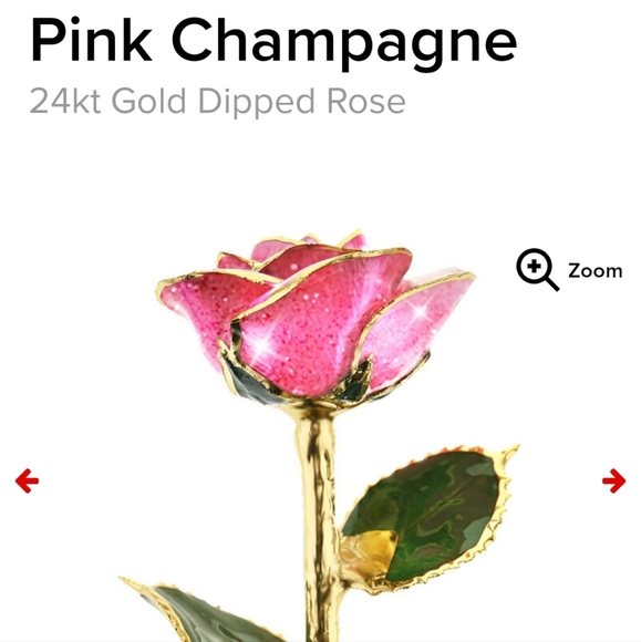 Steven Singer Real Pink Rose Preserved and Dipped in 24 Karat Gold - Picture 10 of 11